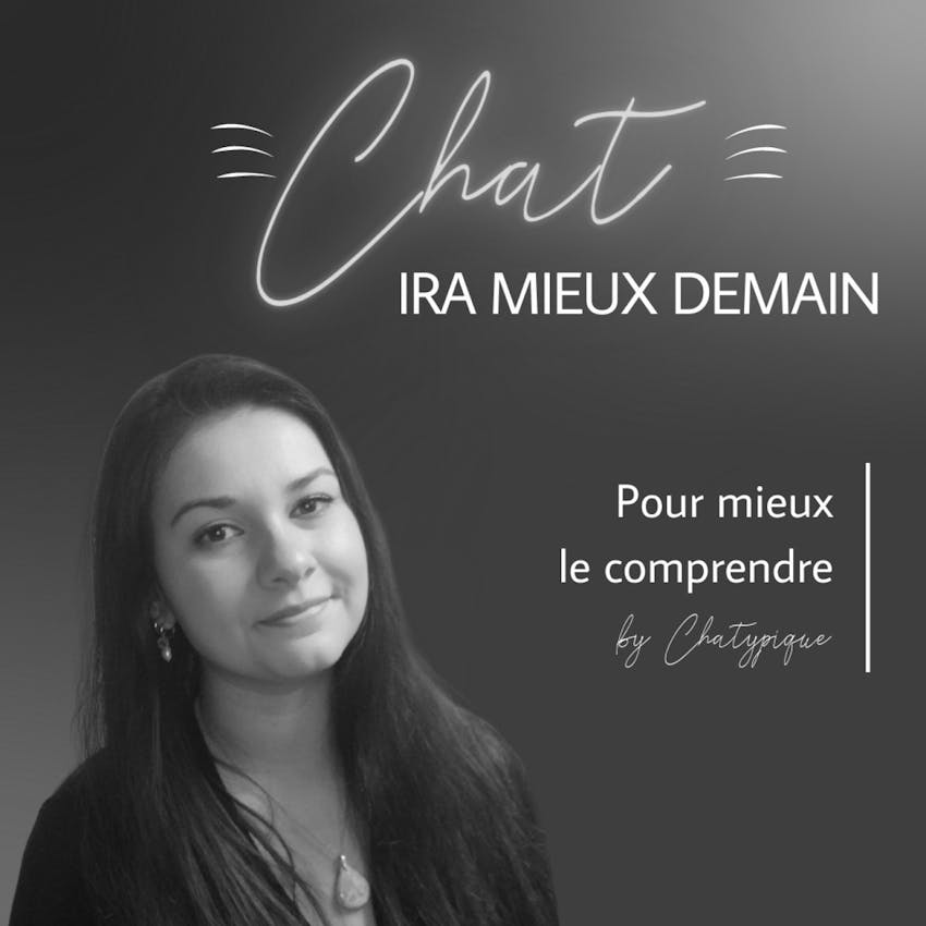 Chat ira mieux demain 3. Prendre son chat par la peau du cou, efficace ou pas ? on Stitcher