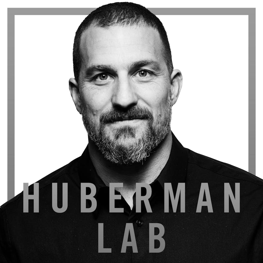 Huberman Lab Fitness Toolkit Protocol & Tools to Optimize Physical