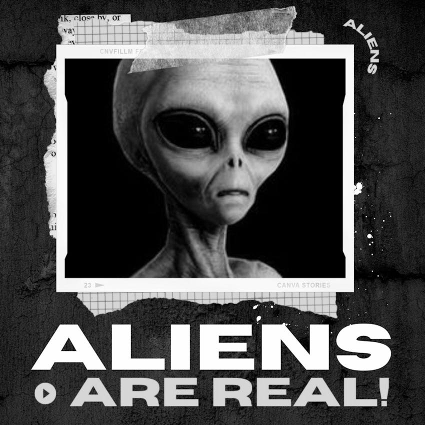 Aliens Are Real Ufo And Alien Contact Are Aliens Real Yes Paul