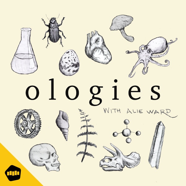 Ologies with Alie Ward - Scotohylology (DARK MATTER) with Flip Tanedo on Stitcher