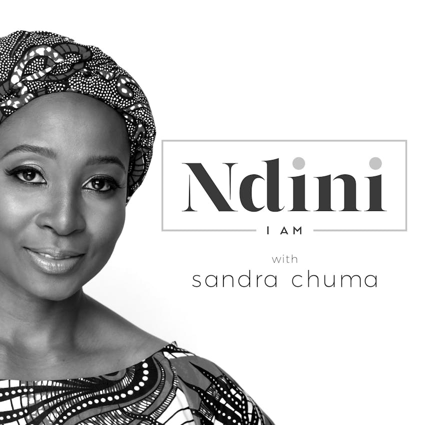 The NDINI Podcast On Stitcher