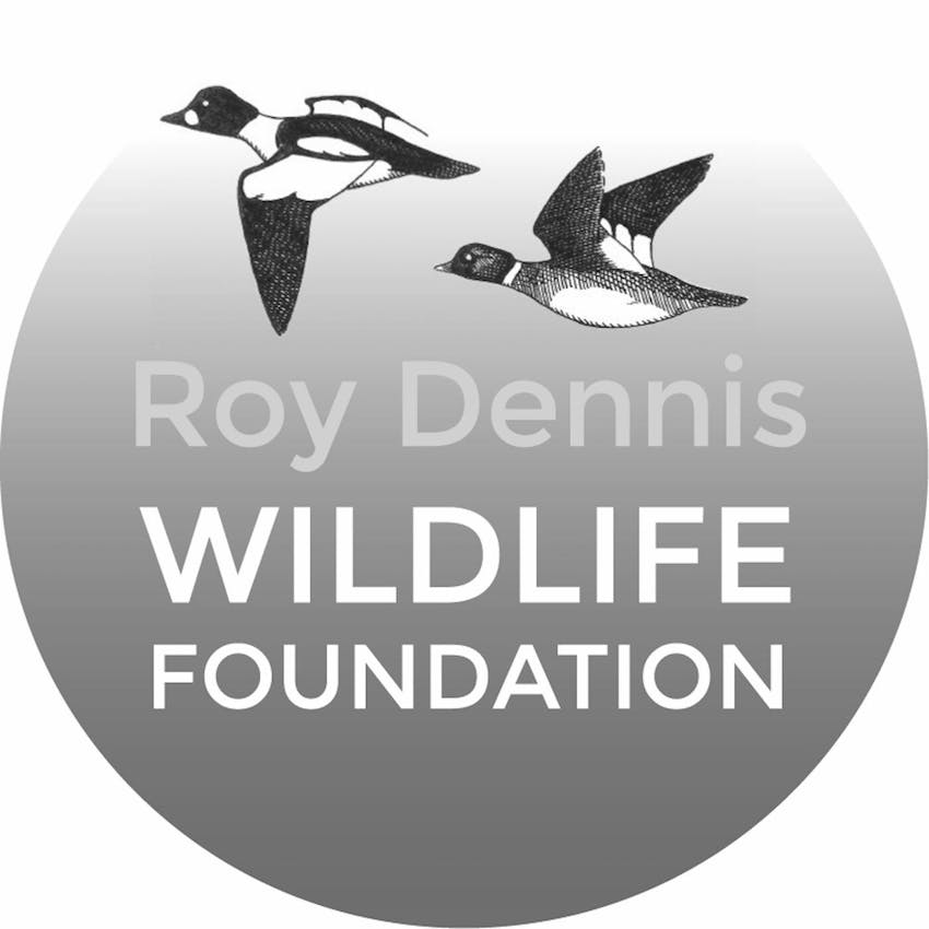 Roy White Foundation